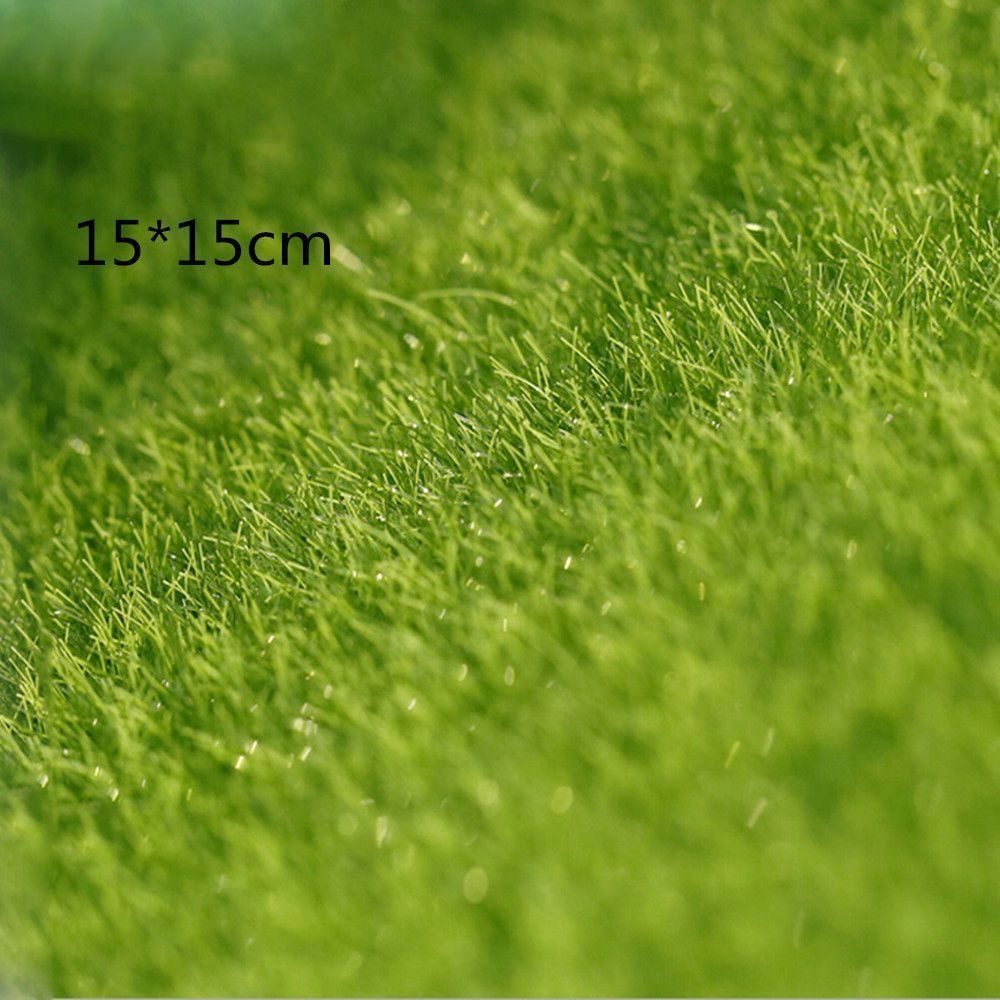 Ecological Lawn Decor Garden O - Terrarium Moss Art review and price