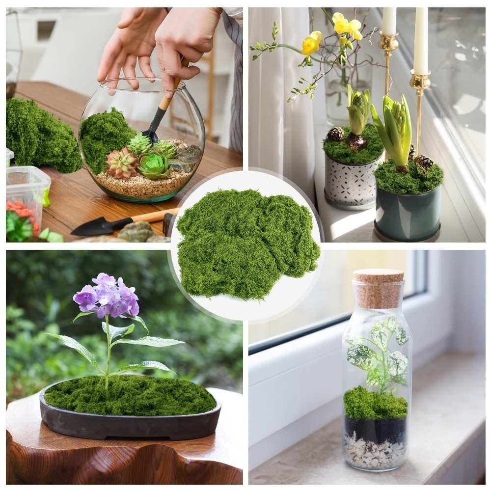 Polyester Artificial Moss Plan - Terrarium Moss Art review and price